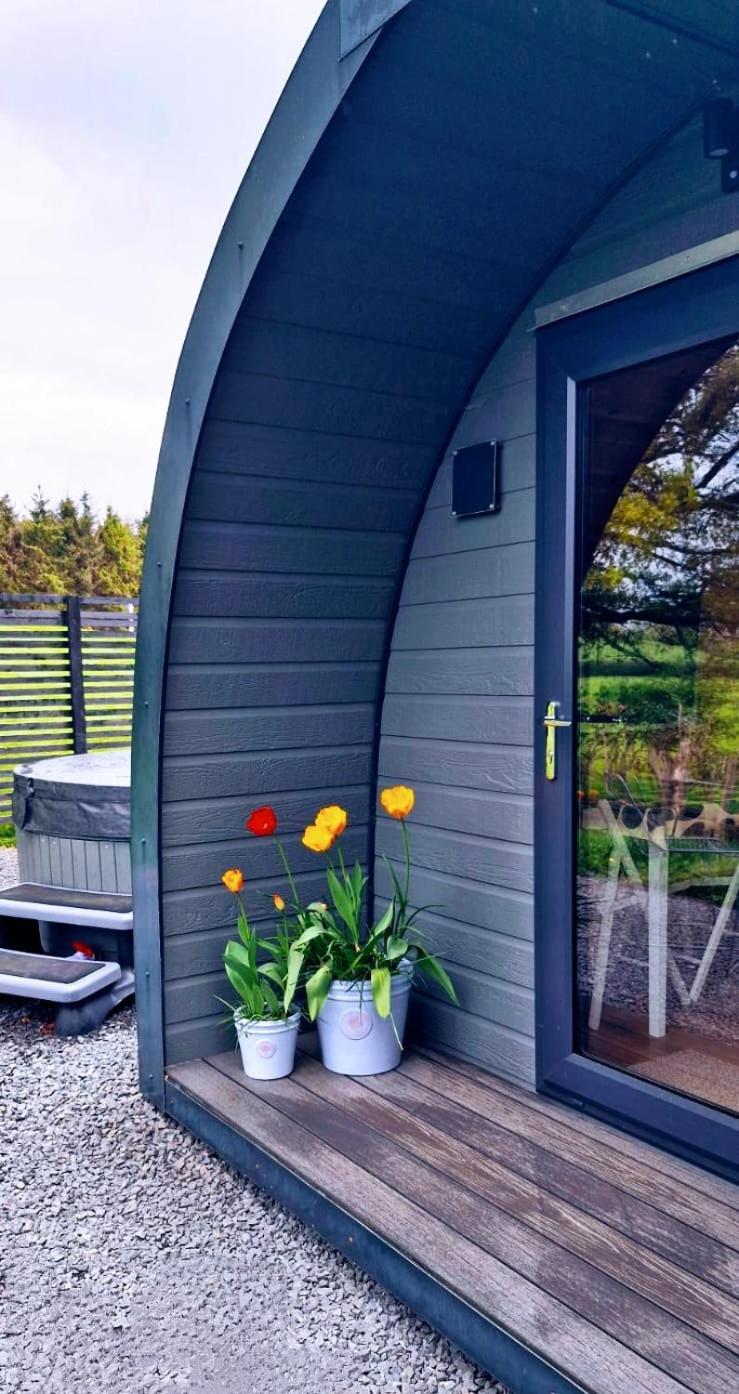 Apartamento Odli Glamping - Deri Welshpool Exterior foto